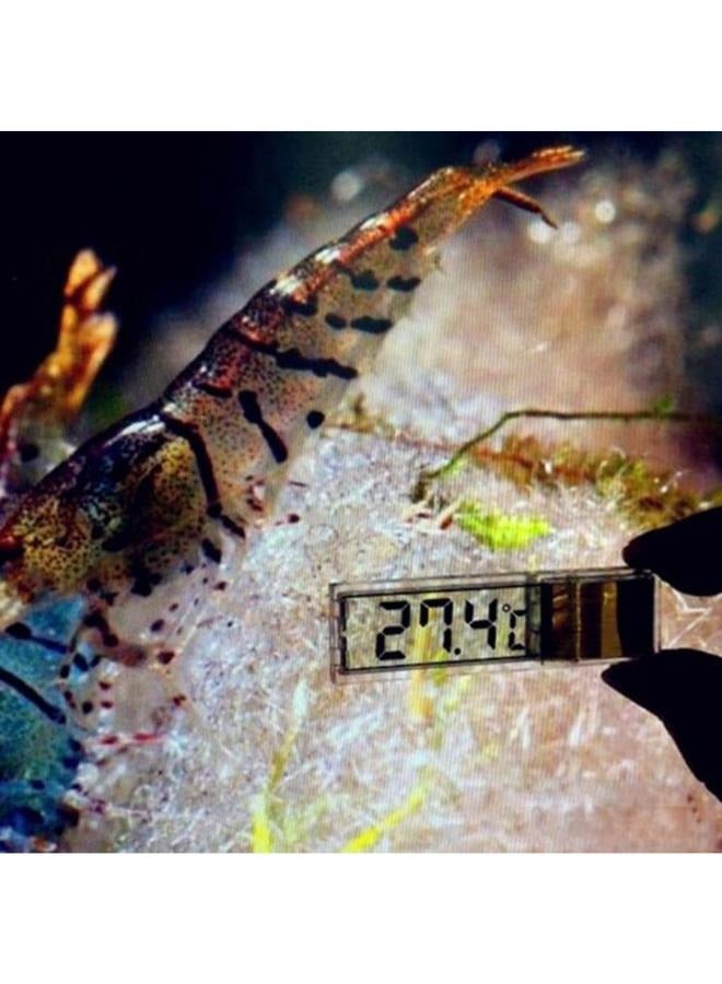 B&K 3D Perspective LCD Digital Thermometer Aquarium and Ambient - Image 3