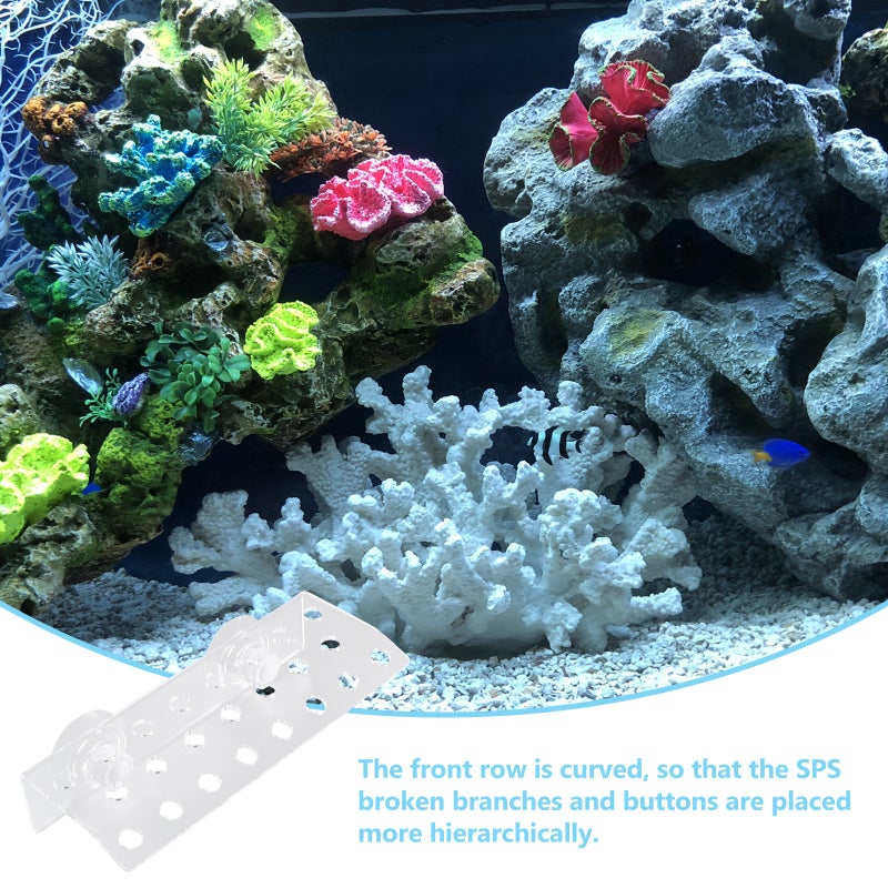 23 Plug Holes Coral Frag Rack Cup Aquarium Coral Support Holder - Image 3