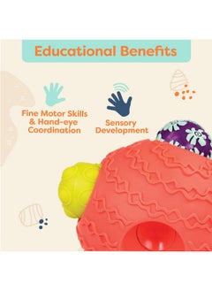 B. Toys B. toys- B. baby- Baby Ballss- 1 Big Textured Ball with 5 Small Sensory Balls - Developmental Toys for Babies 6 Months +  - Image 5