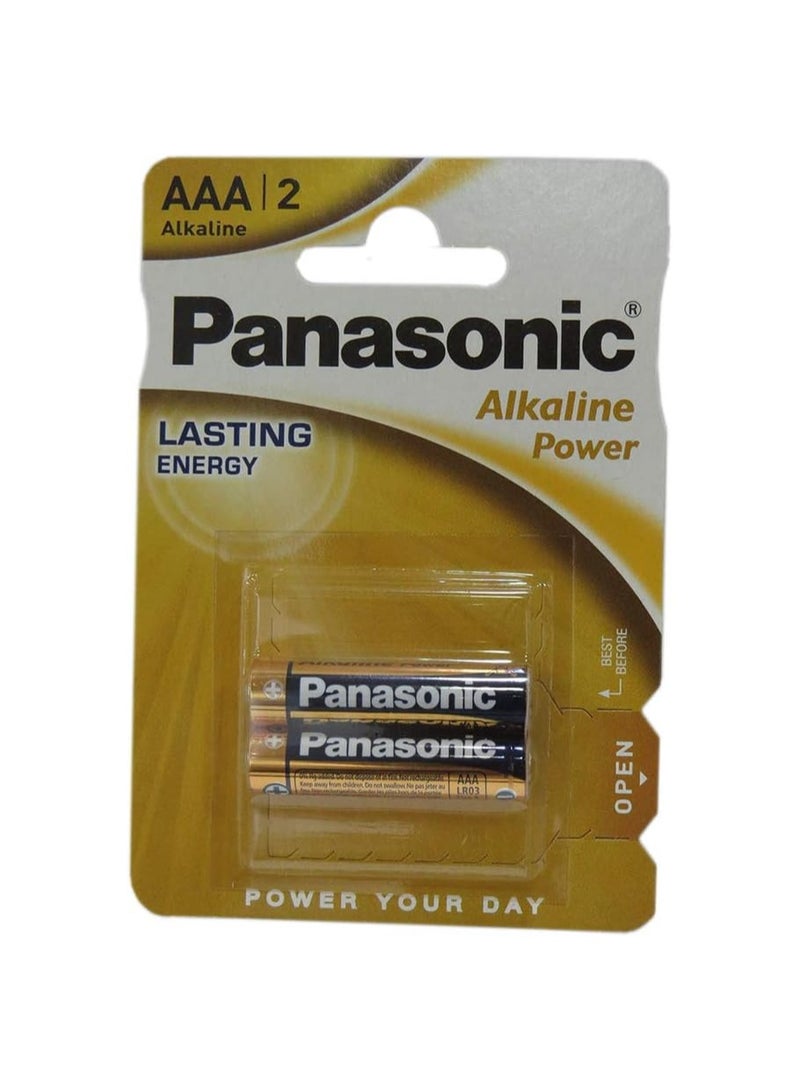 Panasonic 2 Pcs Alkaline power Battery