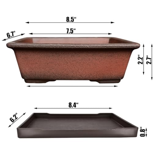 MUZHI Decorative Ceramic Bonsai Planter Pot 8.5 Inch with Tray, Breathable Unglazed Rectangle Terracotta Clay Pot for Tree Succulent Cactus Indoor Outdoor Red Brown - Image 2