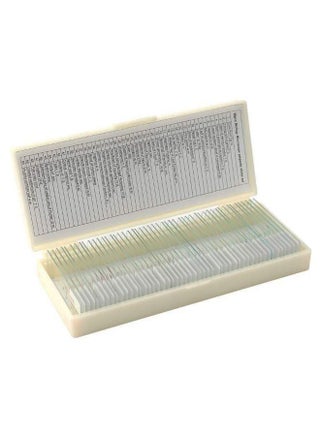 50-Piece Portable Biological Glass Sample Microscope Slides Set Clear - pzsku/Z6E7DBBFF7097997DC8D8Z/45/_/1681116244/b18c30ef-36b6-4068-8e40-d1e85db98d84