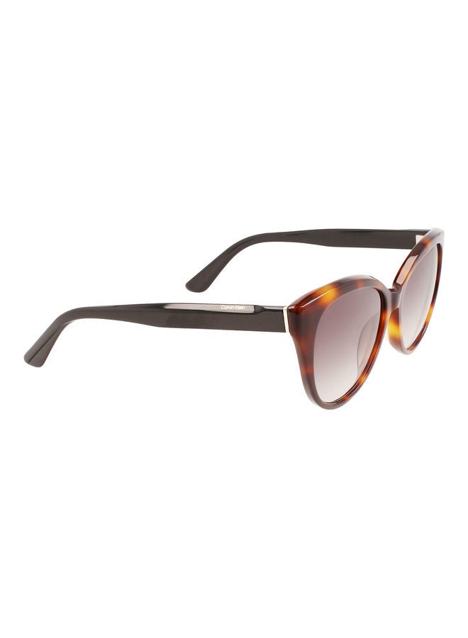 CALVIN KLEIN Women Full Rim Acetate Cat Eye Sunglasses CK22520S 5717 (236) Havana/Black - Image 3