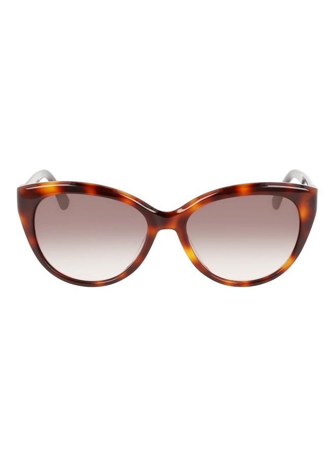 CALVIN KLEIN Women Full Rim Acetate Cat Eye Sunglasses CK22520S 5717 (236) Havana/Black - Image 1