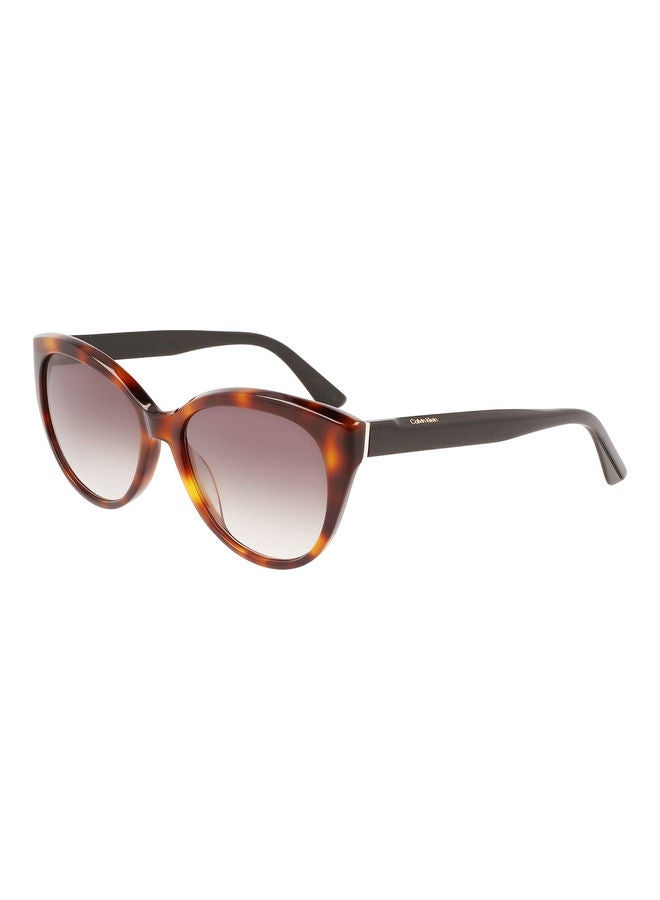 CALVIN KLEIN Women Full Rim Acetate Cat Eye Sunglasses CK22520S 5717 (236) Havana/Black - Image 2