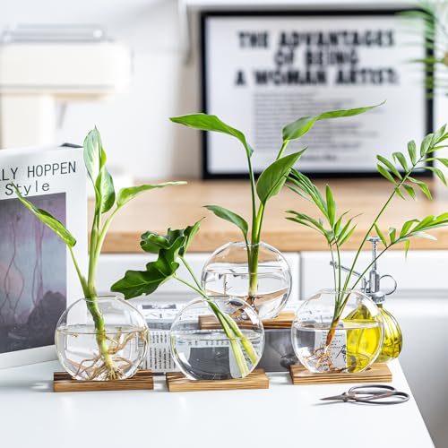 CHPINDAM Propagation Vases for Plants - Glass Terrarium Planter with Wooden Stand, Small Desktop Oblate Hydroponic Propagation Vases for Modern Home & Office Decor (2) - Image 3