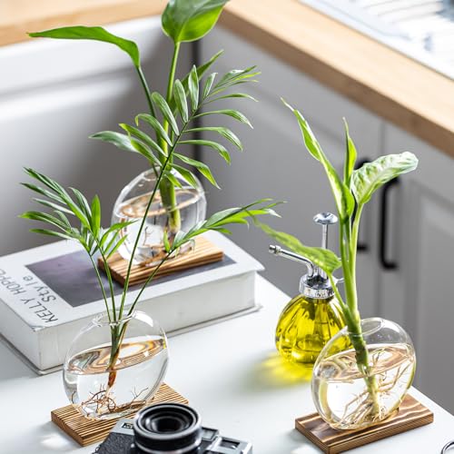 CHPINDAM Propagation Vases for Plants - Glass Terrarium Planter with Wooden Stand, Small Desktop Oblate Hydroponic Propagation Vases for Modern Home & Office Decor (2) - Image 5
