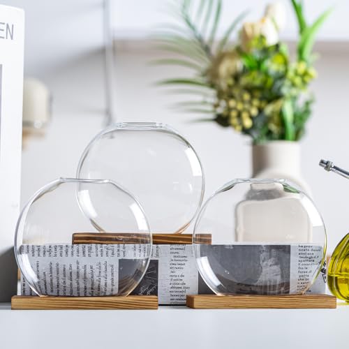 CHPINDAM Propagation Vases for Plants - Glass Terrarium Planter with Wooden Stand, Small Desktop Oblate Hydroponic Propagation Vases for Modern Home & Office Decor (2) - Image 4