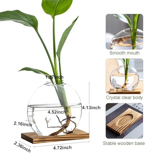 CHPINDAM Propagation Vases for Plants - Glass Terrarium Planter with Wooden Stand, Small Desktop Oblate Hydroponic Propagation Vases for Modern Home & Office Decor (2) - Image 2