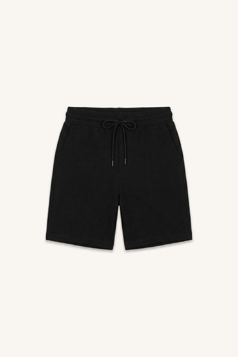 Regular Fit Regular Hem Shorts