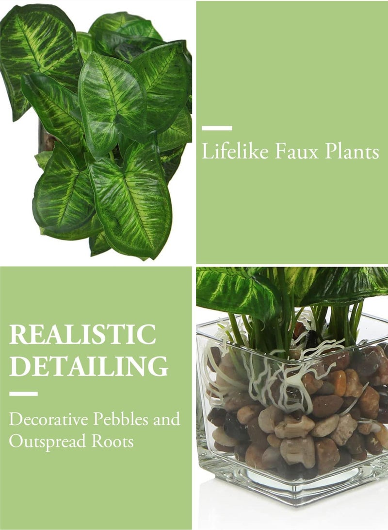 كيلا 3 عبوات من النباتات الاصطناعية الصغيرة في أواني زجاجية شفافة، نباتات صغيرة مزيفة للديكور الداخلي للمنزل، مكتب العمل، المطبخ، الحمام، الرفوف، نباتات مزيفة في أواني ديكور منزلي عصري - Image 3