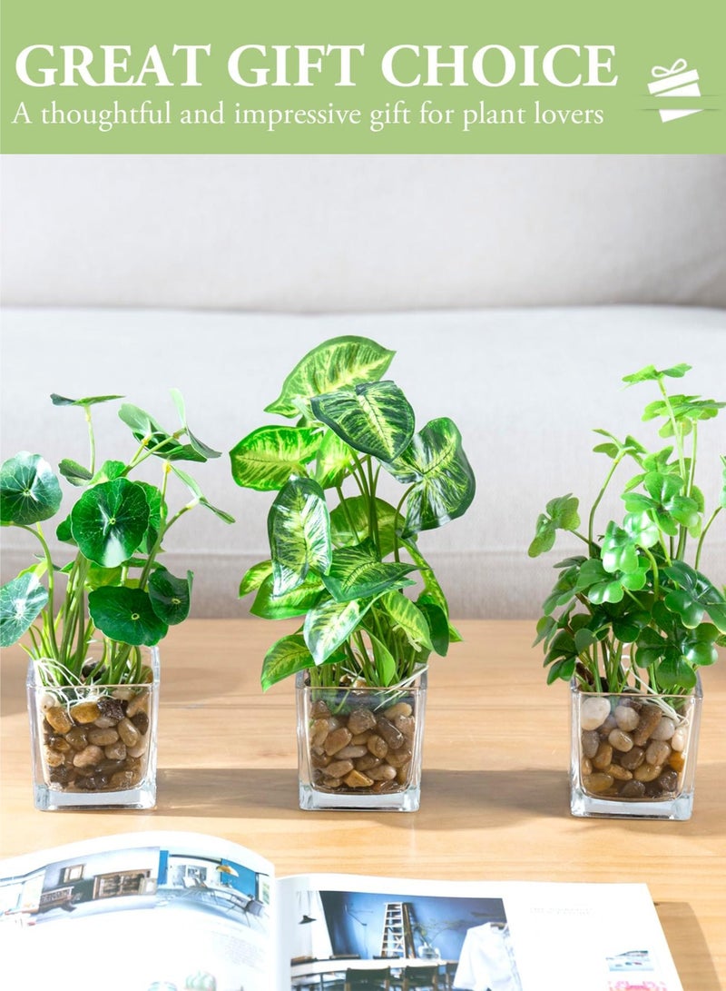 كيلا 3 عبوات من النباتات الاصطناعية الصغيرة في أواني زجاجية شفافة، نباتات صغيرة مزيفة للديكور الداخلي للمنزل، مكتب العمل، المطبخ، الحمام، الرفوف، نباتات مزيفة في أواني ديكور منزلي عصري - Image 5