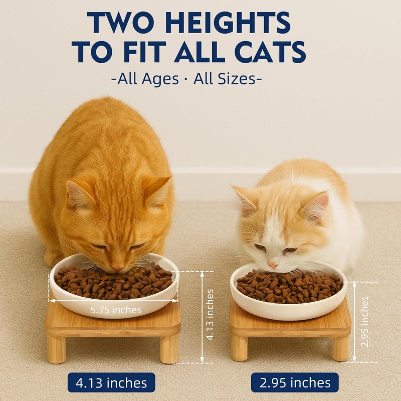 DoogCat Elevated Cat Bowls for Indoor Cats â€“ Raised Bamboo Cat Bowl Stand with 5.75 Inch Wide Ceramic Dishes, Pet Food Plate Table for Easy Feeding, Whisker Friendly(White,Set of 2) - Image 3