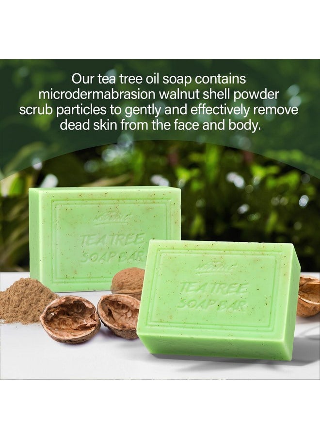 POP MODERN.C - POP MODERN.C Tea Tree Soap Bar for Face & Body Wash Tea Tree Oil Bath Soaps for Athlete's Foot Body Odor Acne Deep Clean Men Women All Skin Types with Soap Holder Body Scrubber Mesh Soap Bag 2x150G - Image 1