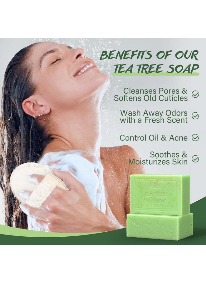 POP MODERN.C - POP MODERN.C Tea Tree Soap Bar for Face & Body Wash Tea Tree Oil Bath Soaps for Athlete's Foot Body Odor Acne Deep Clean Men Women All Skin Types with Soap Holder Body Scrubber Mesh Soap Bag 2x150G - Image 1