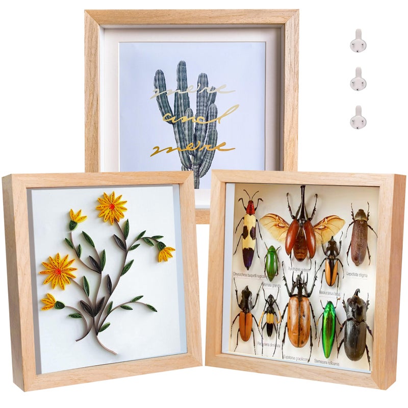 Dohomi 8x8 Shadow Box Frame Natural Wood Shadow Box Display Case 3 Pack Picture Frames Glass Surface Internal Depth 06 inch for Wall Or Tabletop