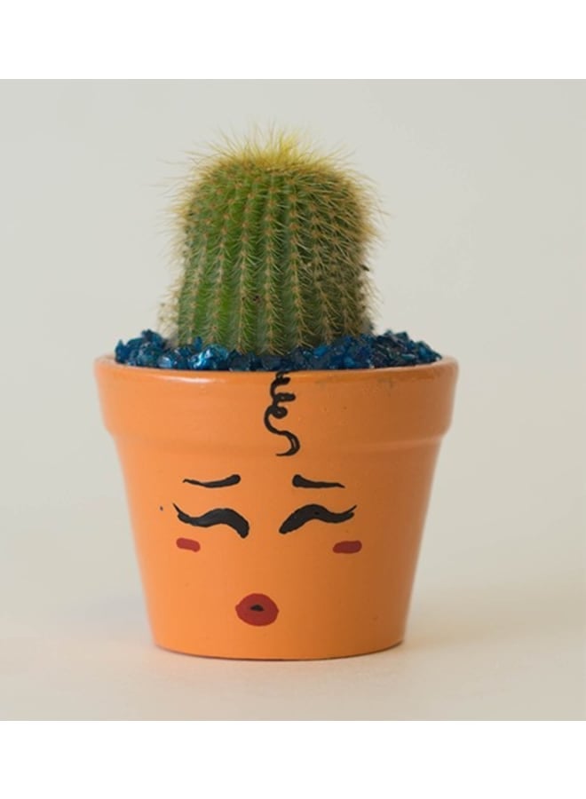 Decorative Handmade Pottery Plant Pot with natural cactus - orange - 8*6 cm