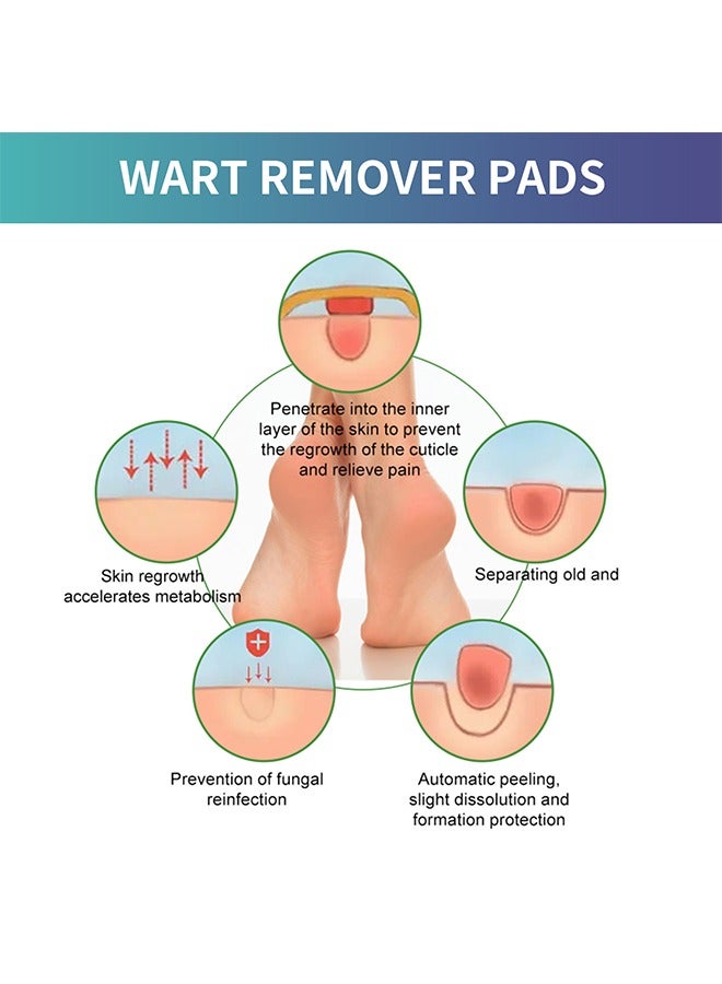 إيلهو 10 حبة ذرة إزالة وسادة - Image 3