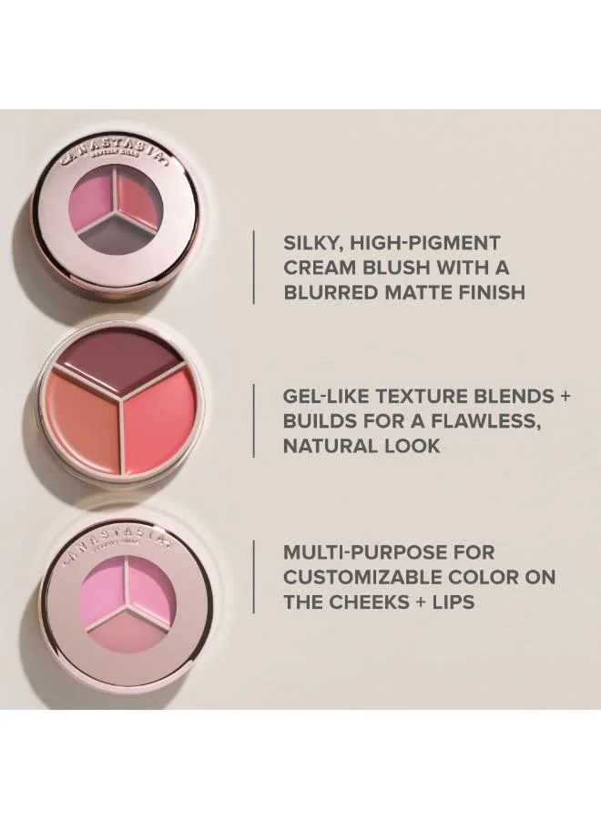 Anastasia Beverly Hills Multicolour Magic Touch Blush Trio - Berry/Rose Trio for Women | Best Price UAE