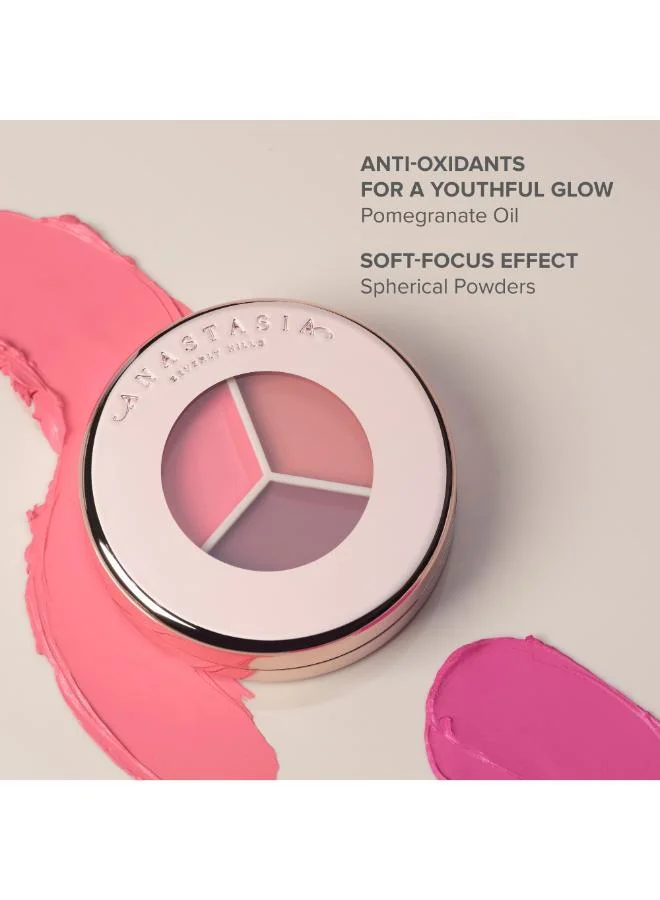 Anastasia Beverly Hills Multicolour Magic Touch Blush Trio - Berry/Rose Trio for Women | Best Price UAE