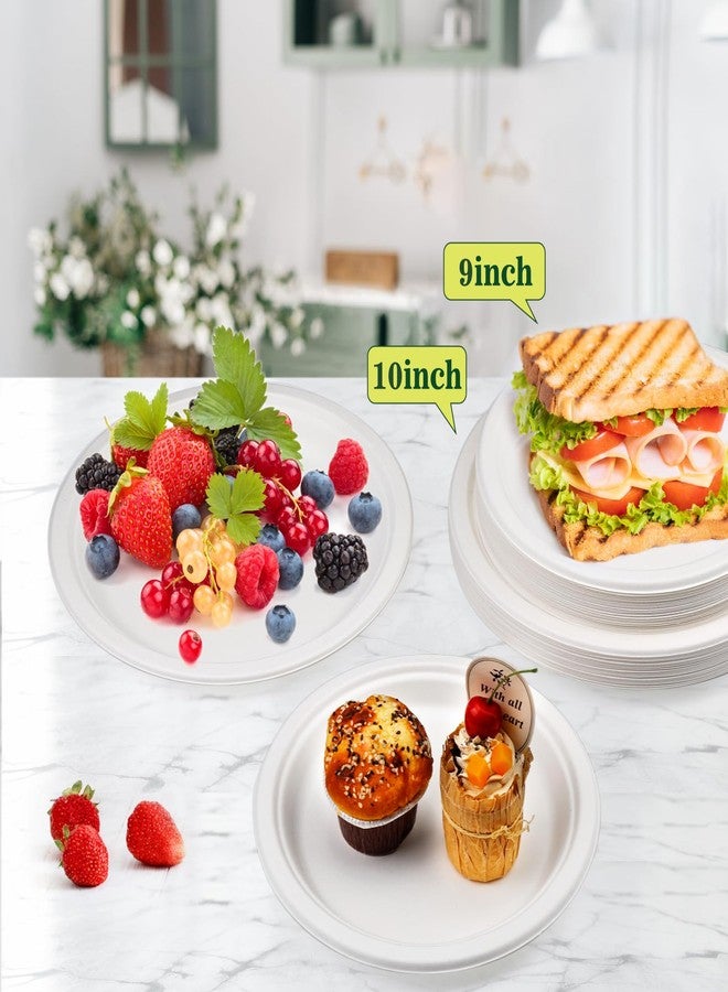 Fniiva 125PCS 10Inch Paper Plates, Heavy Duty Disposable Plates, Compostable Plates, Sugarcane Dinner Plate, Biodegradable Sugarcane Bagasse, Eco-Friendly for Breakfast, Lunch or Family Dinner Meals - Image 5
