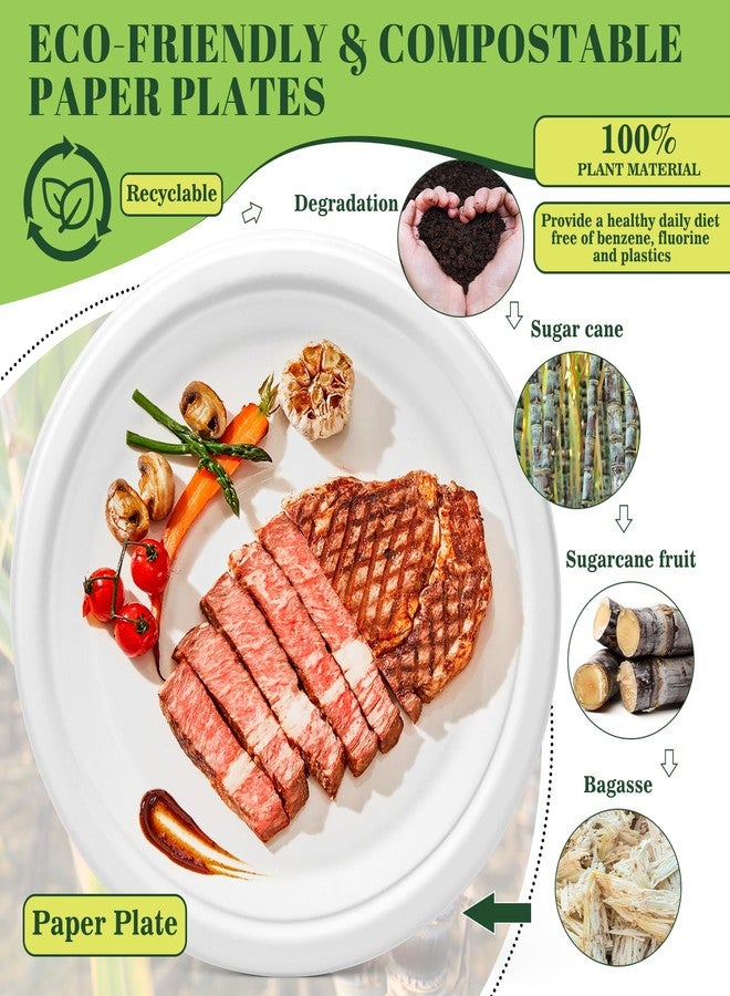 Fniiva 125PCS 10Inch Paper Plates, Heavy Duty Disposable Plates, Compostable Plates, Sugarcane Dinner Plate, Biodegradable Sugarcane Bagasse, Eco-Friendly for Breakfast, Lunch or Family Dinner Meals - Image 3