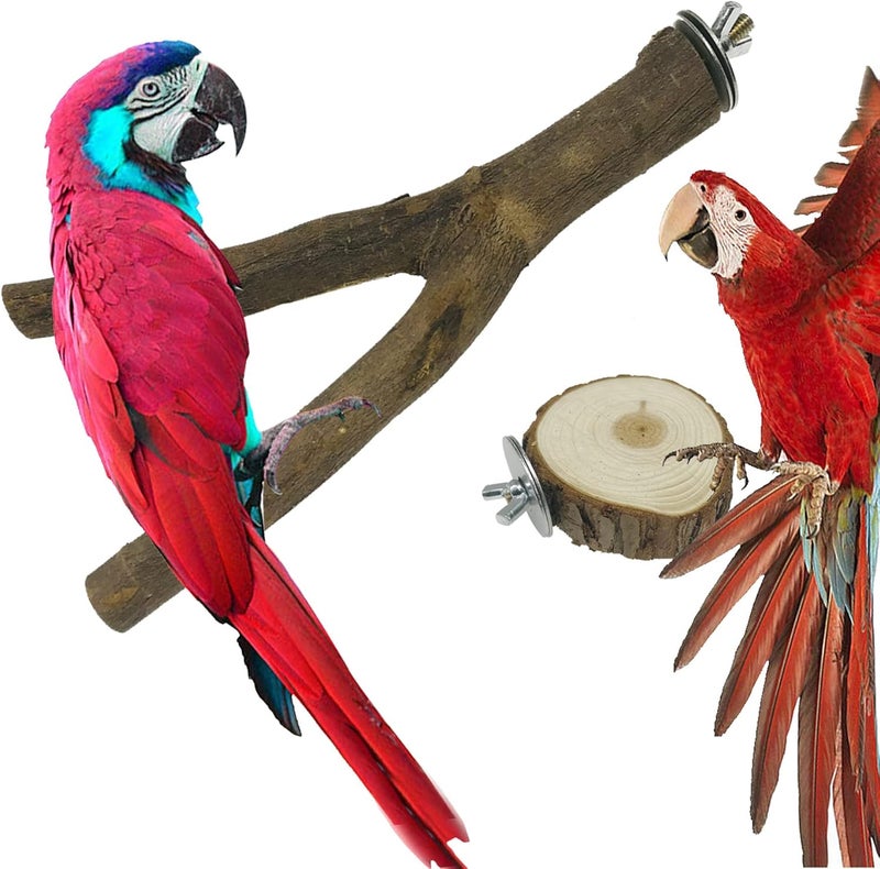 Allazone NA 10 PCS Natural Wood Bird Perch Stand, Bird Parrot Perch Stand Set, Wooden Parrot Perch Stand Perch Platform Cage Accessories for Parrotlets Cockatiels Budgies Parakeets - Image 4