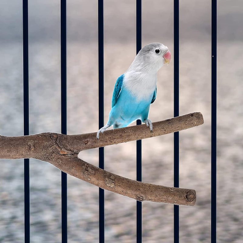 Allazone NA 10 PCS Natural Wood Bird Perch Stand, Bird Parrot Perch Stand Set, Wooden Parrot Perch Stand Perch Platform Cage Accessories for Parrotlets Cockatiels Budgies Parakeets - Image 5