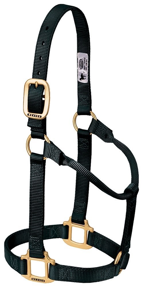 Weaver Leather Original Non-Adjustable Nylon Horse Halter Black, Weanling/Pony - Image 1