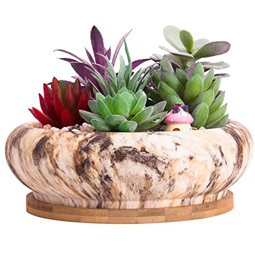 ARTKETTY Succulent Pots - 7.3 Inch Large Bonsai Pots with Drainage Tray, Ceramic Pots for Indoor Plants, Shallow Succulent Planters Marble Cactus Flower Plant Container Bowl - Image 1