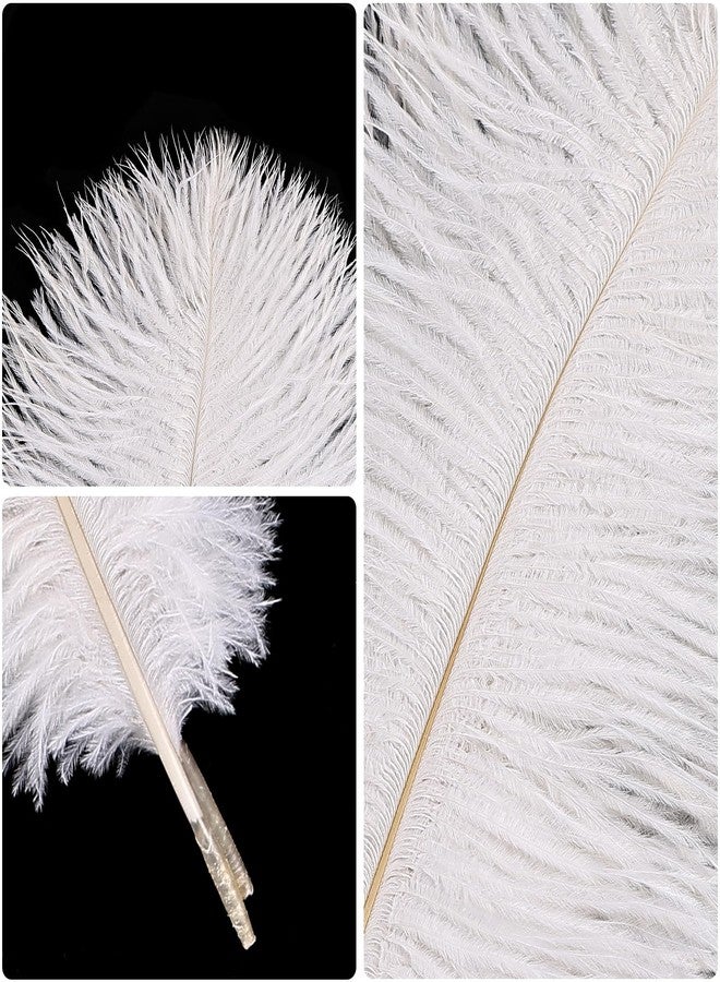 THARAHT White Ostrich Feathers 12pcs Natural Bulk 8-10Inch 20cm-25cm for Crafts Wedding Party Centerpieces Christmas Tree Decoration Feathers - Image 3
