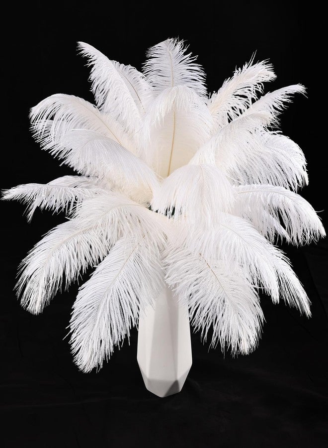 THARAHT White Ostrich Feathers 12pcs Natural Bulk 8-10Inch 20cm-25cm for Crafts Wedding Party Centerpieces Christmas Tree Decoration Feathers - Image 1