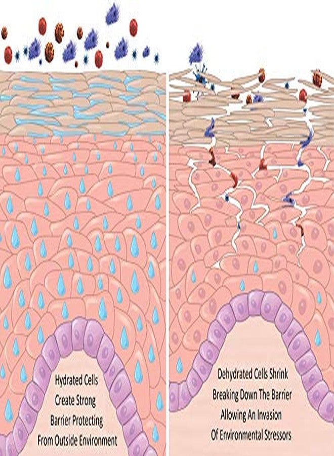 AminoGenesis Therapeutic Facial Repair w/SYTHE'6 1.7 oz Anti Aging, Moisturizer, Peptide, Amino Acids, Collagen, Elastin, Wrinkle, Dark Spot, Dry, All Skin Type Cream, Skin Renewing - Image 5