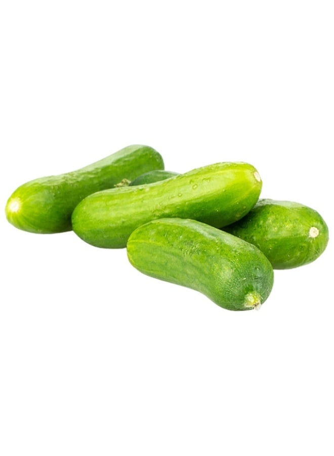 Snack Cucumbers, 250g, UAE