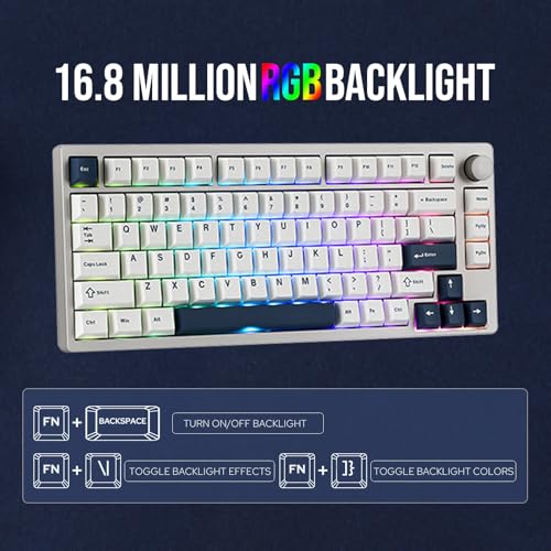 EPOMAKER P75 Wireless Aluminum Mechanical Keyboard, Bluetooth 5.0/2.4GHz/USB-C Hot Swappable Custom Keyboard, Gasket Structure, RGB Backlit, for PC/Tablet/PS/Xbox (Silver, Zebra Switch) - Image 5