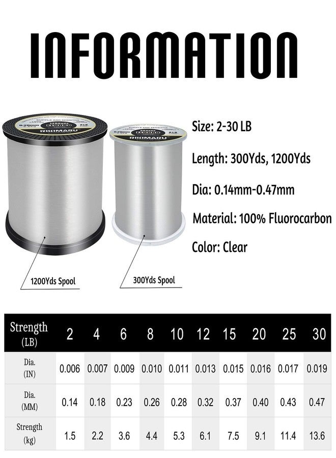 RIKIMARU Fluoro Fishing Line, 100% Fluorocarbon Coated Fishing Line (Clear, 10LB/0.28mm/300Yds) - Image 2