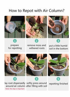 Excefore Orchid Plant Pot Crystal Pot Planter Breathable Slotted Baskets Great Aerification and Drainage15 12 10 ( cm )  - Image 3