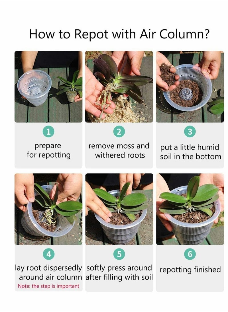 Excefore Orchid Plant Pot Crystal Pot Planter Breathable Slotted Baskets Great Aerification and Drainage15 12 10 ( cm )  - Image 3