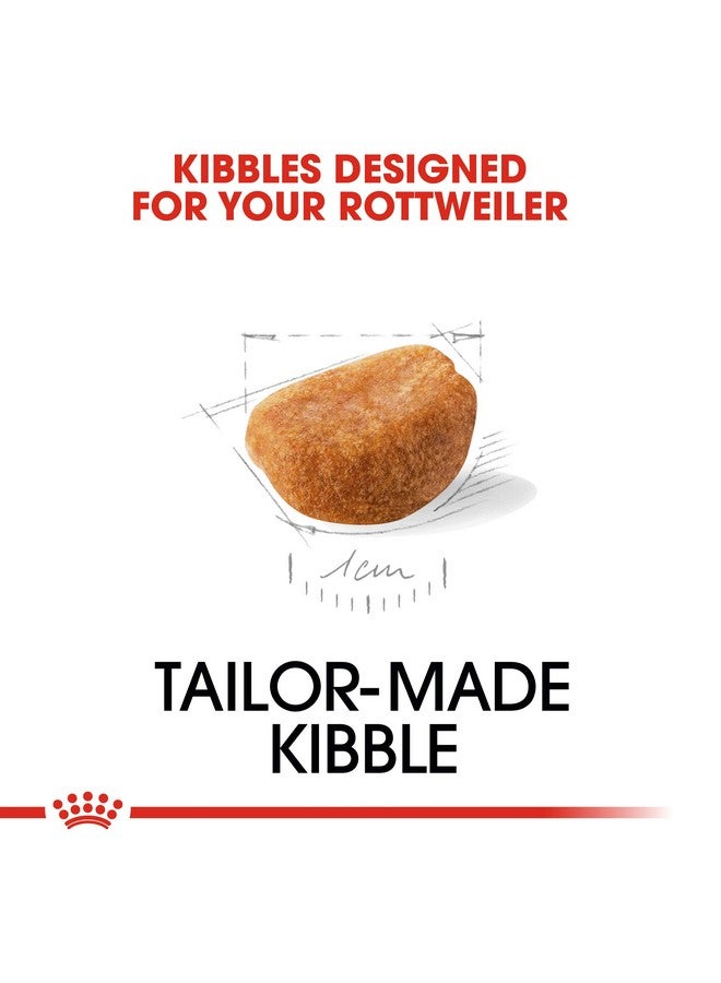 رويال كانين طعام كلاب روتويلر جونيور بيليه، نكهات متنوعة، 3 كجم، عبوة واحدة - Image 4