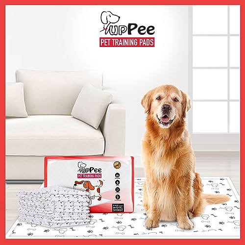 PUPPEE Pet Training Pads For Dogs, Cats, Puppies & Pets, Super Absorbent Urine Mats | Poop & Pee Trainer | Potty Pads, Pet & Puppy Peeing Toilet Trainer | 100% Water Proof & Non Slippery- 60X45CM ( Medium ) - COMBO PACK OF 2 ( 50 COUNT ) - Image 2