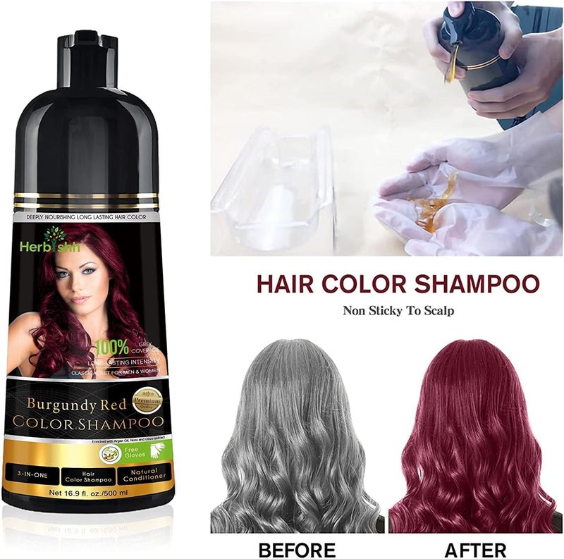 Herbishh After Color Shampoo Combo - Burgundy Hair Color Shampoo 500 ml, Argan Oil 30 ml & Hair Mask 150 ml - Image 3