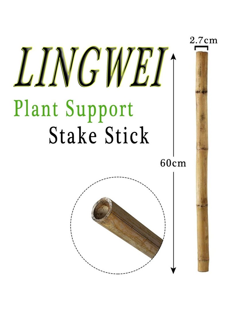LINGWEI 8 pcs Bamboo Plant Support Stak  - Image 3