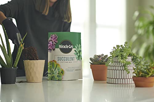Miracle-Gro Succulent Potting Mix - Fertilized Soil with Premium Nutrition for Indoor Succulents, 4 qt. (2-Pack) - Image 4