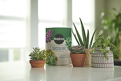 Miracle-Gro Succulent Potting Mix - Fertilized Soil with Premium Nutrition for Indoor Succulents, 4 qt. (2-Pack) - Image 2
