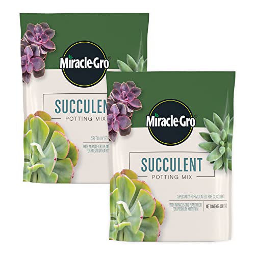 Miracle-Gro Succulent Potting Mix - Fertilized Soil with Premium Nutrition for Indoor Succulents, 4 qt. (2-Pack) - Image 1