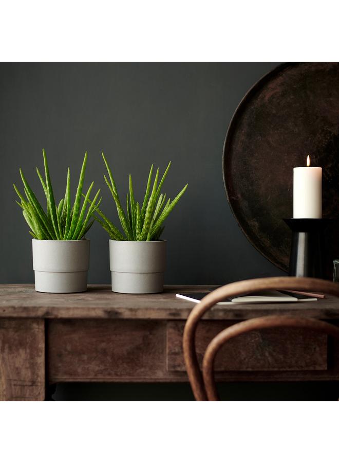 Zaboon Plant pot, in/outdoor grey, 12 cm - Image 3