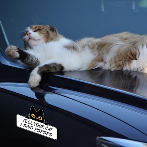 Work House Signs Tell Your Cat I Said Pspsps Funny 8” x 4.5” Vinyl Magnet for Fridge Office Car Bumper & More Durable Humorous Gift for Cat Lovers - Image 5