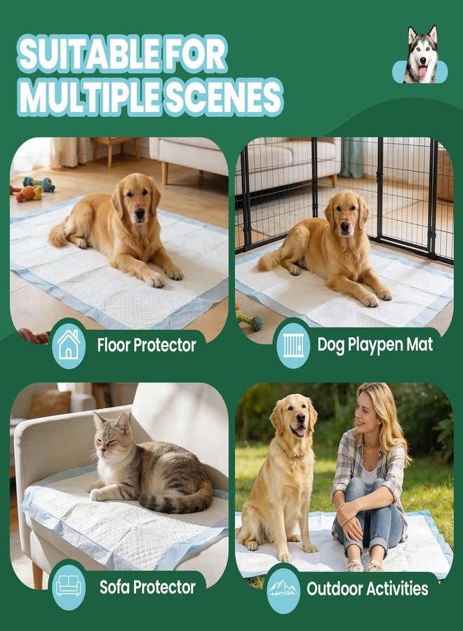 IMMCUTE Dog Pee Pads 30"x36", Training Puppy Pee Pads Super Absorbent(50 Count) - Image 3