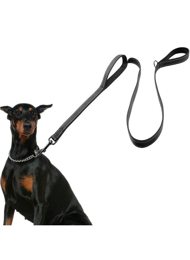 Eco Clean Dog Leash for Large Dogs, 2 Handles for Extra Control, 6 FT Long with Reflective Stitch for Night Walking - Image 1