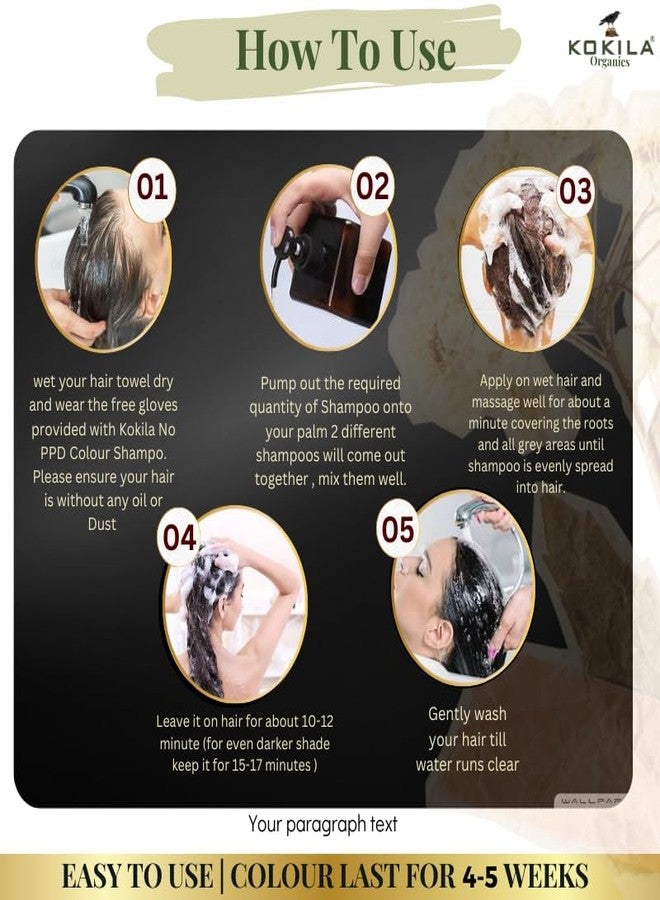 Kokila NO PPD Shampoo Hair Colour - Black 400ml for Women and Men | Natural Extracts | Colours Hair in 10 Minutes | Ammonia Free, Paraben Free - 10 Pair Free Gloves - Image 5